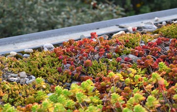 the cost of Soyland Town green roof installation