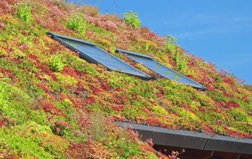 Soyland Town living roof systems
