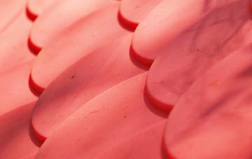 Soyland Town plastic roof costs